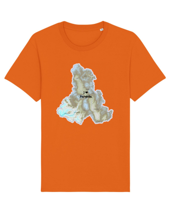 Harghita County Map Bright Orange