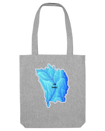 Vaslui County Map Heather Grey