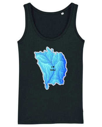 Vaslui County Map Black