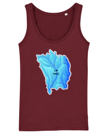 Vaslui County Map Burgundy