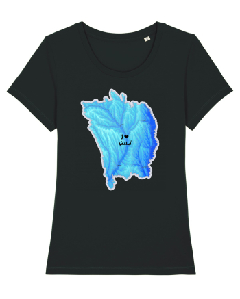 Vaslui County Map Black