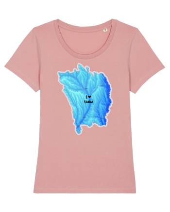 Vaslui County Map Canyon Pink