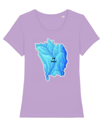 Vaslui County Map Lavender Dawn