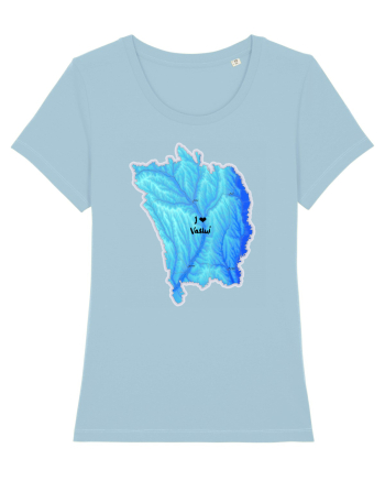 Vaslui County Map Sky Blue