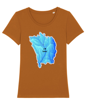 Vaslui County Map Roasted Orange