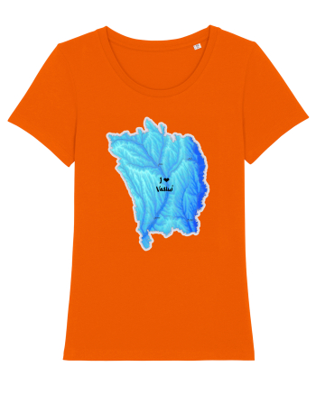 Vaslui County Map Bright Orange