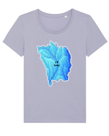 Vaslui County Map Lavender