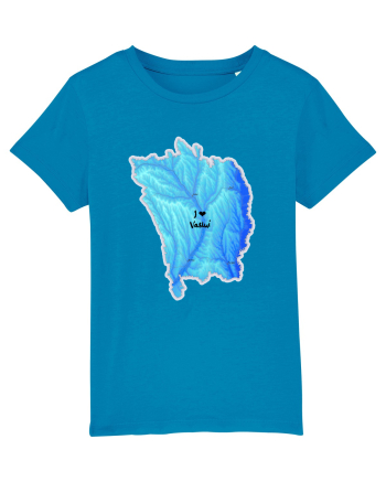 Vaslui County Map Azur