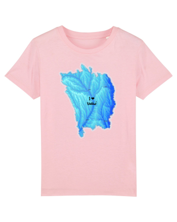 Vaslui County Map Cotton Pink