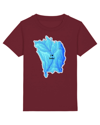 Vaslui County Map Burgundy