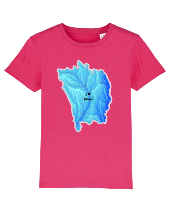 Vaslui County Map Raspberry