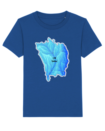Vaslui County Map Majorelle Blue