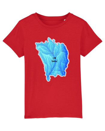 Vaslui County Map Red