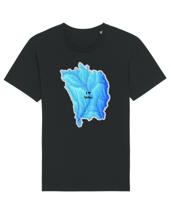 Vaslui County Map Black