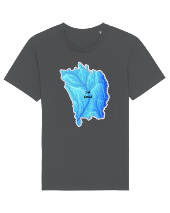 Vaslui County Map Anthracite