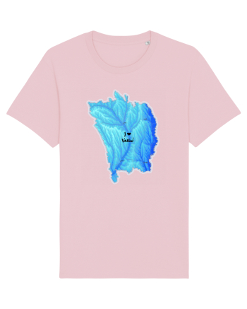 Vaslui County Map Cotton Pink