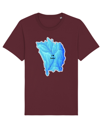 Vaslui County Map Burgundy