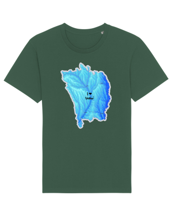 Vaslui County Map Bottle Green