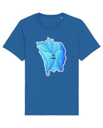 Vaslui County Map Royal Blue