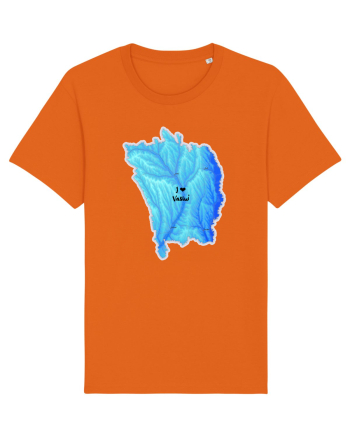 Vaslui County Map Bright Orange