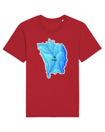 Vaslui County Map Red