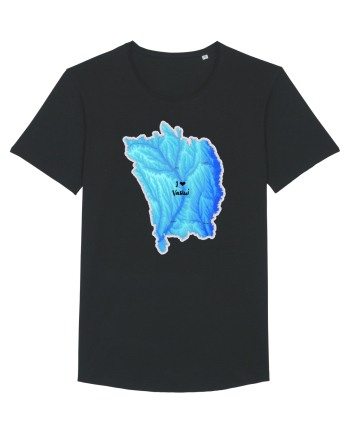 Vaslui County Map Black