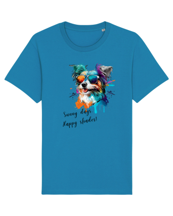 SUNNY DAYS - V6 Azur