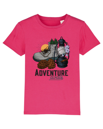 pentru aventurieri - Adventure awaits Raspberry