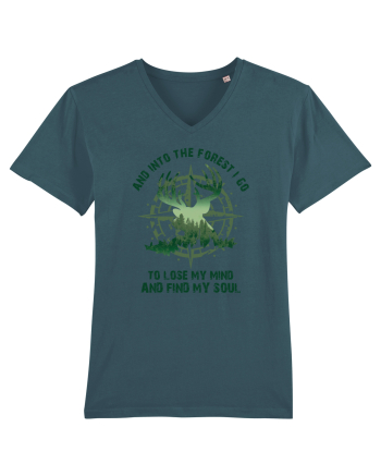 pentru aventurieri - And into the forest I go Stargazer
