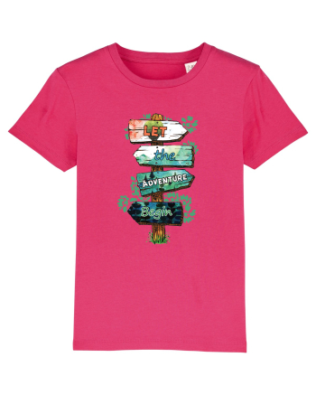 pentru aventurieri - Let the adventure begin Raspberry
