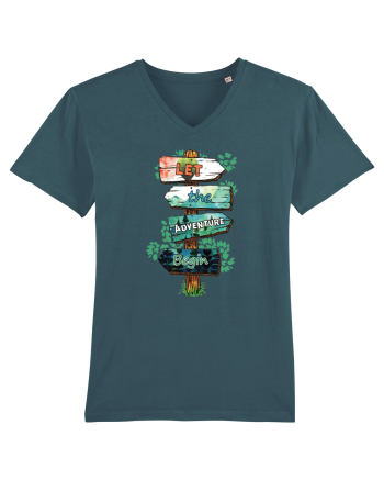 pentru aventurieri - Let the adventure begin Stargazer