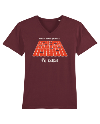 Nu am toate țiglele pe casă Burgundy