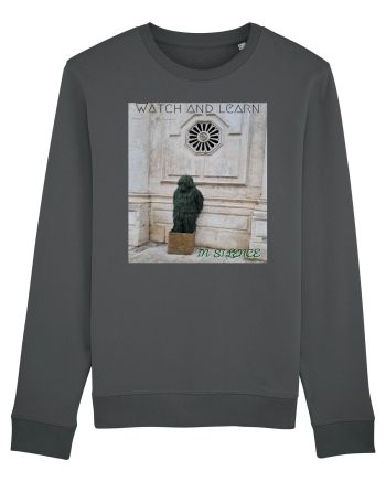 Silent observer Anthracite