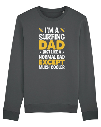 I'm a surfing dad just like a normal dad except much cooler Anthracite