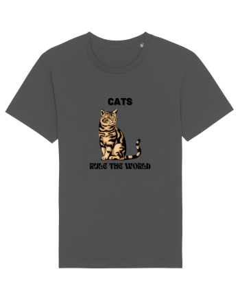 cats rule the world Anthracite