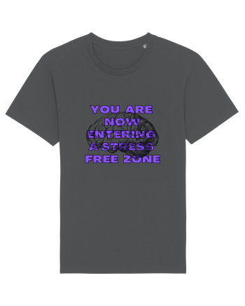 YOU ARE NOW ENTERING A STRESS FREE ZONE Anthracite