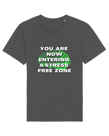 YOU ARE NOW ENTERING A STRESS FREE ZONE Anthracite
