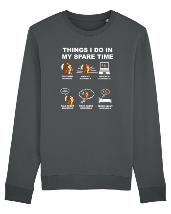 SQUIRREL Anthracite