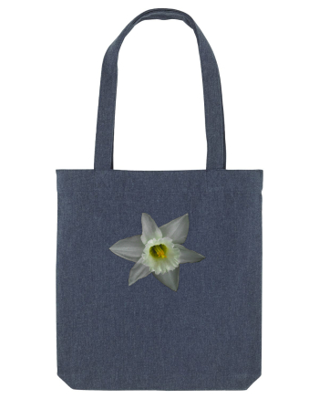 Narcisa alba Midnight Blue