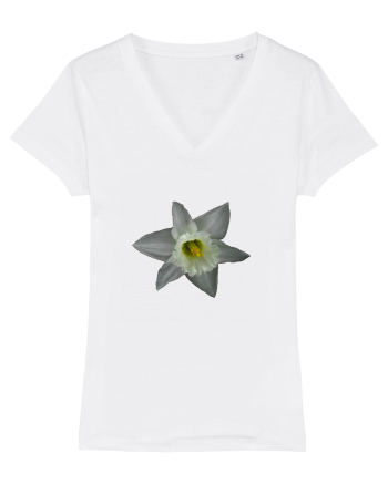 Narcisa alba White