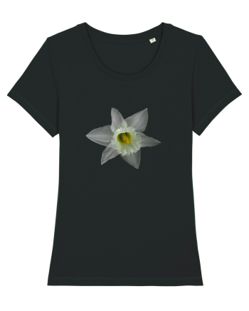 Narcisa alba Black