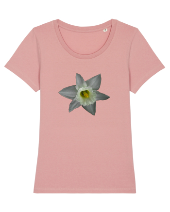 Narcisa alba Canyon Pink