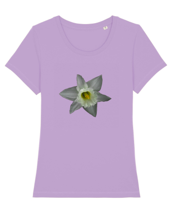 Narcisa alba Lavender Dawn