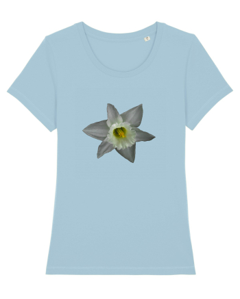 Narcisa alba Sky Blue