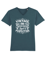 Vintage original 1981 quality limited edition aged to perfection, Aniversar Tricou mânecă scurtă guler V Bărbat Presenter