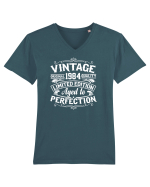 Vintage original 1984 quality limited edition aged to perfection, Aniversar Tricou mânecă scurtă guler V Bărbat Presenter