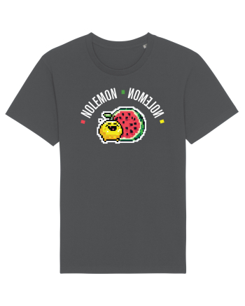 no lemon - no melon - mirror selfie design Anthracite
