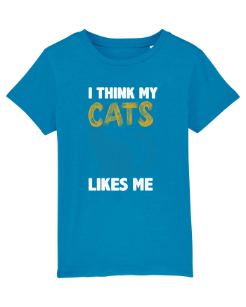 I Think Cats Likes Me Azur