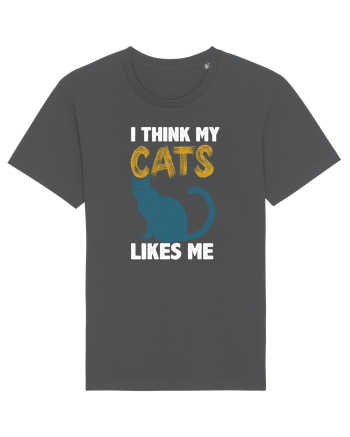 I Think Cats Likes Me Anthracite