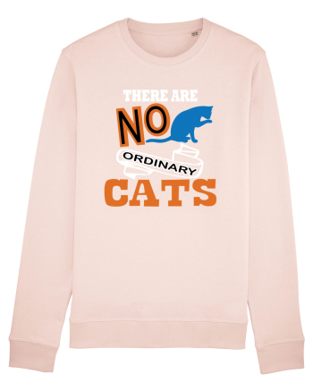 There Are No Ordinary Cats Candy Pink